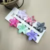 Clipes de Cabelo Coloridos de Flor de Plumeria de 4cm Mais Vendidos na Europa e América, Grampos de Cabelo Florais Transfronteiriços, Acessórios de Cabelo da Moda para Festas na Parte de Trás da Cabeça