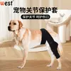 Rodilleras para Perro Cubierta Protectora para Lesiones Equipo Protector Fijo para Fractura de Pata de Perro Cinturón Auxiliar con Soporte para Pata Delantera y Trasera de Mascota