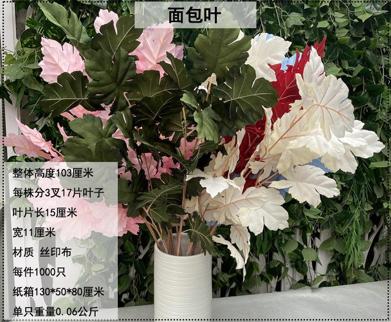 产品信息图-1.jpg