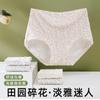 Roupa Íntima Feminina de Algodão Puro Cintura Alta Tamanho Grande Antibacteriana Respirável Estilo Pastoral Calcinhas Florais Pequenas Personalizável com Logotipo Imprimível