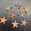 30 Pinhas, Pinhas Bonitas, Decoração de Jardim de Infância, Joias Criativas Feitas à Mão, Pintura de Pinhas, Torre de Pinhas DIY Pinha