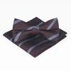 Set de Pajarita y Pañuelo de Bolsillo de Nuevo Estilo Moderno Boda Novio Padrino Moderno Traje de Hombre Cuadrado Cuadrado Boda Rayado Vintage