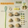 Kit de Materiais para Sino de Vento de Casca de Fruta Atacado do Fabricante, Sino Pendurado para Cura Sonora com Sino de Vento, Pingente de Fruta de Planta, Decoração Pendurada para Mochila e Carro