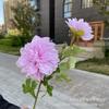 2 dalias individuales, flores artificiales para salón de bodas, exhibición en el hogar, flores falsas al por mayor