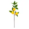 Simulação Ramo de Limão Limão Fruta Simulação Transfronteiriça Flor Planta Verde Decoração Decoração para Casa Espuma Artificial Limão Único