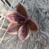 Lembrança de celebridade da Internet Xiaohongshu com flor simulada, silicone, algodão, Huihua, primeira entrega no exterior, decoração para presente de casamento, atacado
