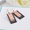 Nuevos pendientes geométricos rectangulares de acero de titanio mate de dos colores pendientes mate exagerados para mujer adornos de oro rosa fabricantes