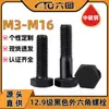 Tornillos hexagonales externos ennegrecidos Grado 12.9, Tornillos de cabeza hexagonal de acero al carbono de alta resistencia M3/M6/M10M12/M14/M16