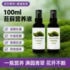 Solución nutriente para musgo, fertilizante líquido especial para plantas verdes en maceta, no requiere dilución, cura las hojas amarillas, crecimiento instantáneo, no necesita dilución