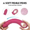 Vibrador Dildo Artificial Dale Brinquedo Sexual Feminino Pênis Falso Vibrador AV Produtos Adultos Femininos