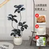 Planta Artificial Verde Grande Black Diamond Árbol de Goma Planta en Maceta de Interior para Sala de Estar Decoración de Planta de Árbol Imitación de Lujo Ligero de Gama Alta