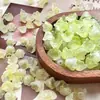 Contas de esmalte colorido cor de orquídea lírio acessórios para roupas 2024 novo pulseira contas de vidro material diy feito à mão