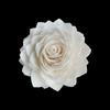 Múltiplas Opções de Flores de Palha Perfumadas para Decoração de Casa, Flores Secas Que Podem Ser Tingidas e Furadas para Inserção, em Estoque para Dropshipping