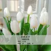 Bulbos de Tulipa para Venda no Atacado, Variedade de Pétala Simples, 1 Bulbo por Pacote, Bulbos de 5 Graus, Plantas de Flores de Interior em Vasos, Floresce o Ano Todo, Fácil de Cuidar