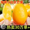 Mango Hainan Xiaotainong, Mangos Frescos 5 kg, Fruta de Temporada, Caja Completa con Envío Gratis, Mango Grande Tropical Especial