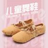 Zapatos de práctica de ballet profesional con costuras elásticas para mujer adulta, zapatos de baile de garra de gato, zapatos de baile chino, zapatos de danza folclórica