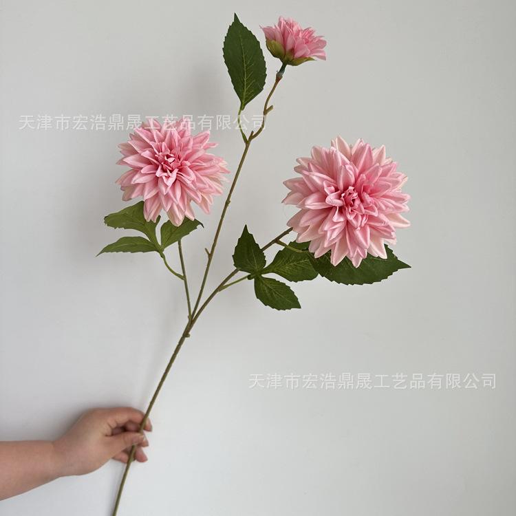 微信图片_202304201402137_副本