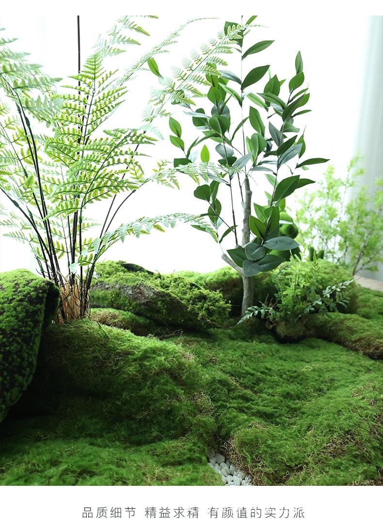 青丝草皮苔藓_06.jpg
