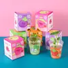 Cajas ciegas de plantas para niños, macetas pequeñas para observación en preescolar, mini semillas para estudiantes de primaria, al por mayor