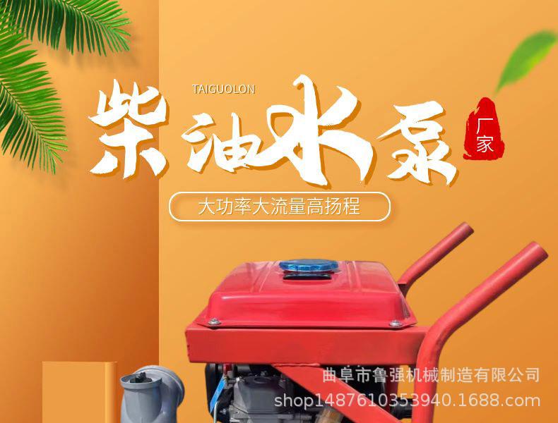 淘宝天猫黄色小清新风格龙眼水果详情页模板_01