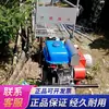 Vehículo de transporte monorraíl agrícola de montaña, transportador de vía para huertos de invernadero, equipo de cosecha y transferencia de materiales