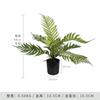 Planta Verde Simulação Planta em Vaso Casco de Tartaruga Pequena Planta em Vaso de Mesa Planta Verde Pequena Flor Artificial Decoração de Planta Verde Flor Artificial de Plástico Planta Simulada