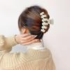 Clip para el cabello color curry leche con agarre de resorte, nuevo, combinable con todo, para la parte posterior de la cabeza, pinza para el cabello tipo disco, cantidad de cabello multi-grande, pasador, accesorios para el cabello