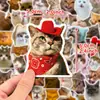 50 Adesivos Realistas de Gatinhos, Expressões Fofas de Gato, Decorativos Criativos para Copos de Água, Adesivos para Cadernos