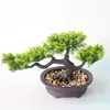 Ornamento de bonsai de pinho bem-vindo novo plantio de simulação chinês bonsai decorações de varanda de casa sala modelo de hotel