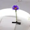 Pinzas divertidas para el pelo de brotes de frijol, accesorios para el pelo de puesto de frutas de un yuan del mercado nocturno, pasadores, pequeños adornos de hierba, accesorios para el pelo para atracciones turísticas