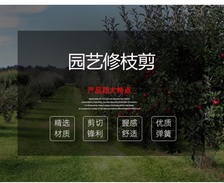 详情图09.jpg