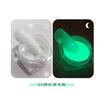 Rede de Internet 6 Cores Brilhantes Glitter para Nail Art Festa de Boate Cor Açúcar em Pó Brilhante para Nail Art Pó Luminoso para Loja de Nail Art