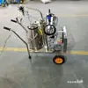 Extractor de Leche Nuevo Modelo con Bomba Integrada, Extractor de Leche Eléctrico Portátil para el Hogar con Transmisión por Correa Dividida
