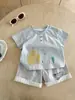Conjunto Curto para Bebê Menino de 1 Ano 2026 Novo Estilo de Verão Macacão Curto com Estampa de Frango Amarelo Desenho Animado para Bebê Conjunto de Duas Peças