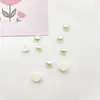 Venda Quente Série Marinha Estrela-do-Mar Peixe Pequeno Acessórios de Joias Sapato com Furo Capa de Celular Pente Acessórios de Cabelo Acessórios DIY Atacado