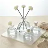 Botellas de aromaterapia al por mayor, botellas de vidrio, botellas dispensadoras de aromaterapia, botellas difusoras sin llama de 100 ml, varillas de ratán para decoración de hoteles