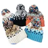 Otoño e Invierno Cálido Protección para las Orejas Sombrero de Lana Estilo Coreano Versátil Fabricante Sombrero para el Frío Reduce la Edad Lindo Pompon de Piel Sombrero Tejido Fábrica