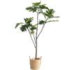 Ponto Árvore de Pão Artificial Árvore Falsa Vaso Planta Verde Vaso Decoração Sala de Estar Interior Estilo Ins Planta Artificial Decorativa