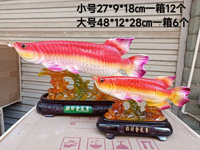803小802大金龙鱼