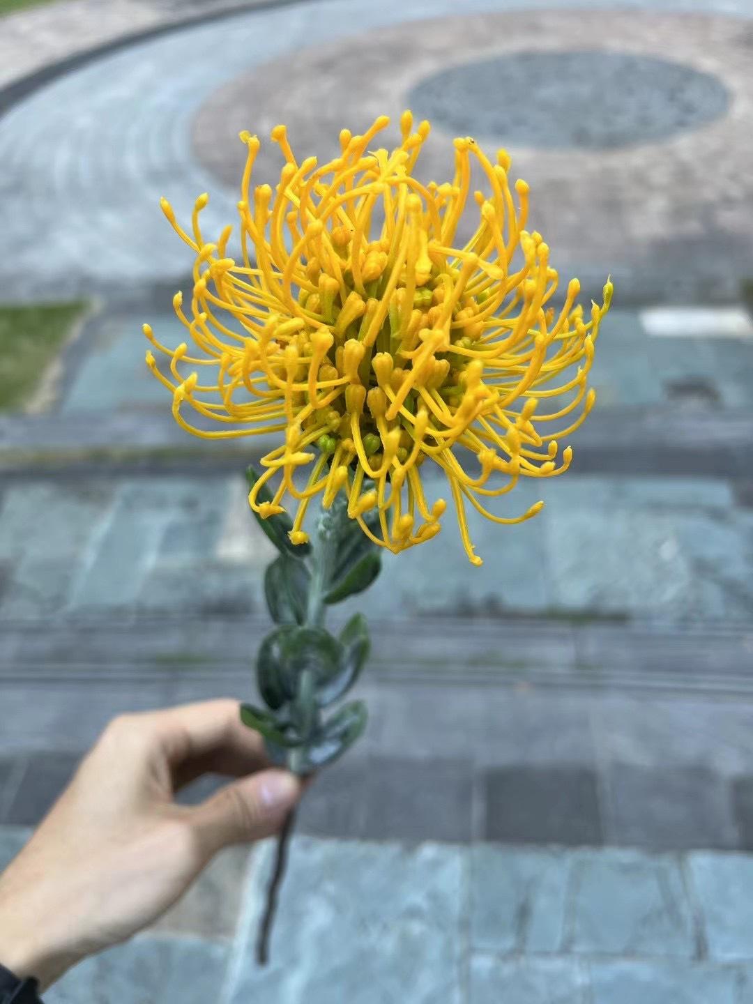 微信图片_20240707135401.jpg