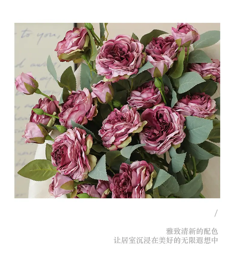 贝勒米3头茶玫_09.jpg