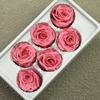 Flor Mágica Flor Eterna Clase C Oso de Rosas Material de Flores Flor Seca Tanabata Unicornio diy Día de San Valentín Cumpleaños Bolsa de Materiales para Ramo