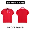 Uniformes Escolares, Personalização em Lote de Emblemas Escolares, Uniformes Escolares Públicos do Ensino Fundamental e Médio, Camisetas Polo de Manga Curta, Feitas Sob Medida de Acordo com Seus Designs, Fornecimento Direto da Fábrica