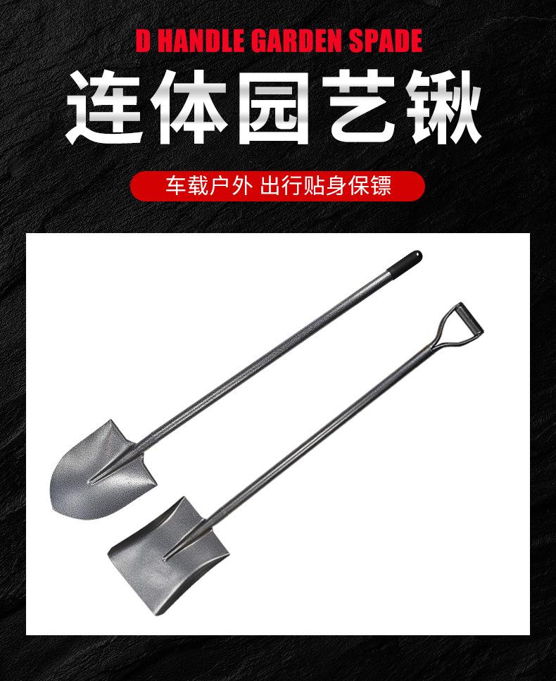 详情_01.jpg