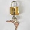 Marca LIONS Luz de Tirar Candado de Titanio Hoja Rectangular Amarilla Candado Cuadrado Puerta de Casa Antirrobo Candado Personalizado