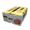 Caja de jugo de naranja Wo naranja caja de plástico de calcio PE verduras y frutas caja de plástico abatible anti-extrusión fabricantes venta al por mayor