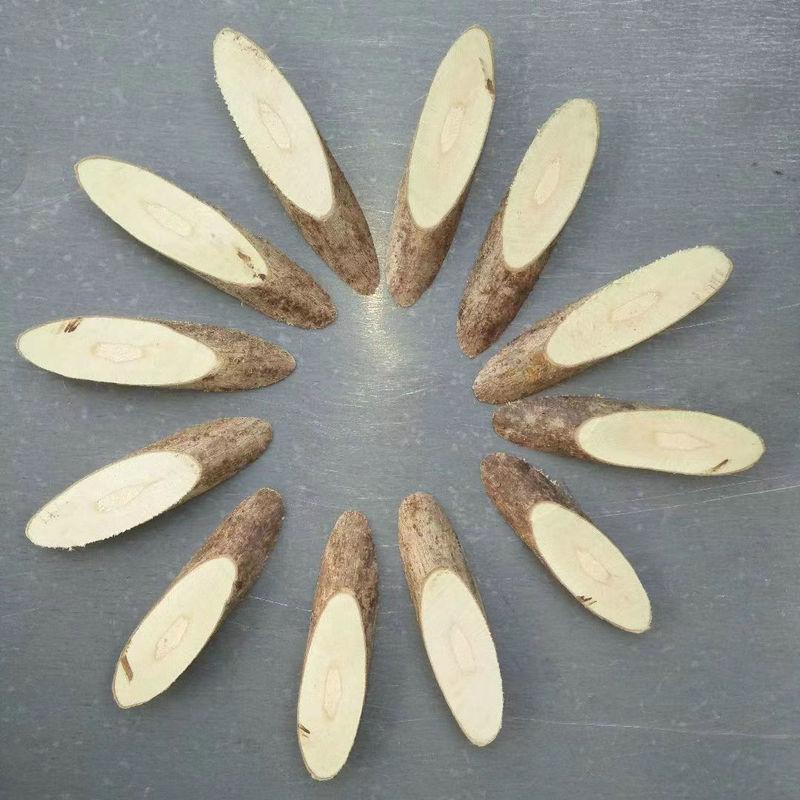 4fbd492d16669802f6f1d9ed8a9be0