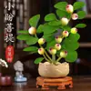 Árbol Bodhi en Maceta Pequeño Bodhi de la Esperanza Bonsái con Fruta Zen Chino Adornos de Escritorio Plantas Verdes Creativas de Interior