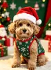 Gorros Navideños para Mascotas Transfronterizos, Disfraces Navideños para Gatos y Perros, y Accesorios para Mascotas Que Crean una Atmósfera Navideña Completa - Fábrica de Origen
