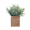 Folha de Dinheiro de Eucalipto Flores Artificiais Fabricante Flores Falsas Plantas Verdes Atacado Decoração de Casamento Artesanato Estilo Ins Transfronteiriço
